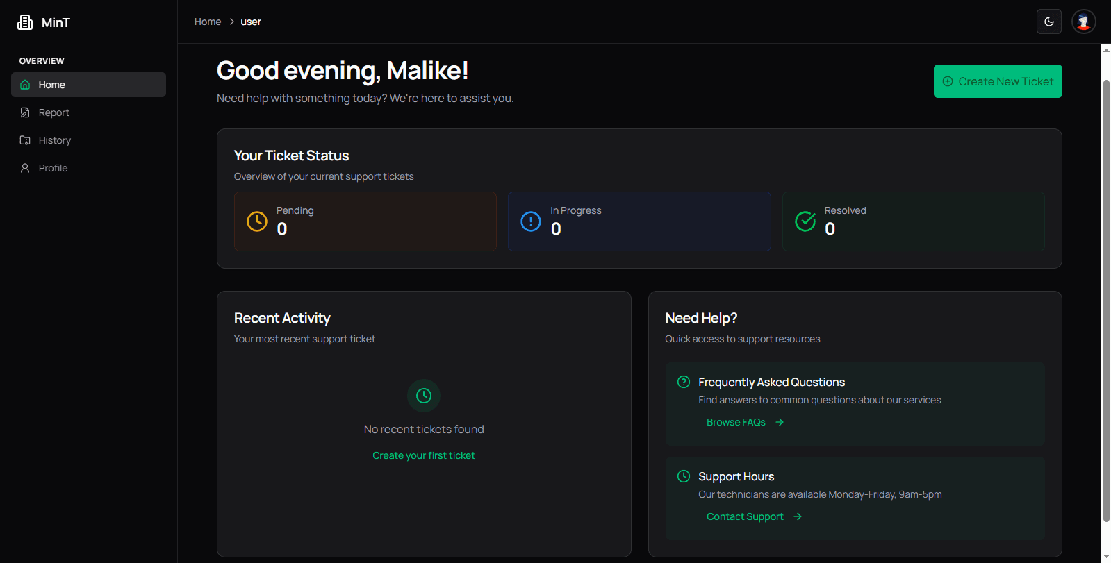 MinT Issue Report System image 1